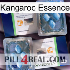Kangaroo Essence viagra5